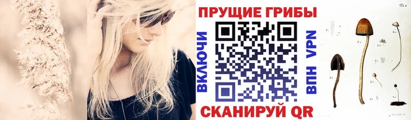 Галлюциногенные грибы Psilocybine cubensis Белёв